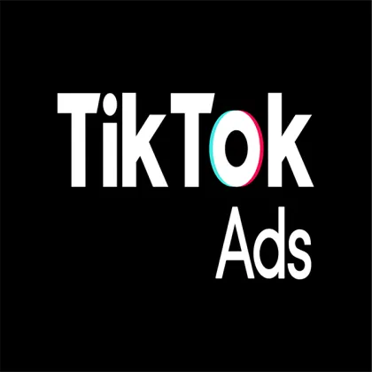 越南 TikTok 广告账号｜预付费账户｜已开启 2FA｜币种：VND