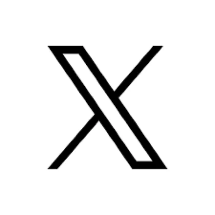 X 2025 注册 1月至5月，粉丝 0-10