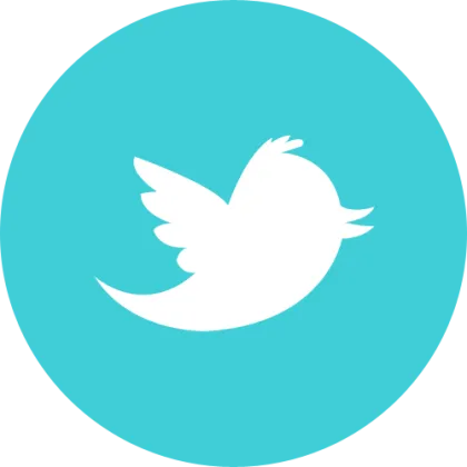 30+ 粉丝 2010-2020 老号 Twitter 账号.AUTH TOKEN. CT0